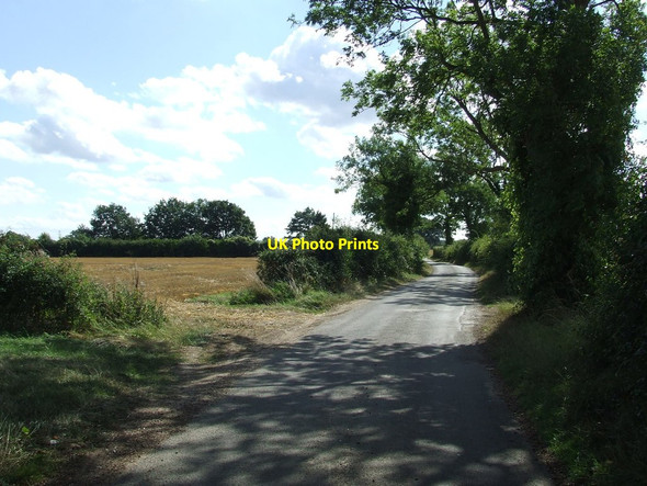 Photo 6"x4" Country Lane Monewden c2013