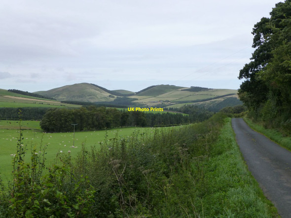 Photo 6"x4" The road leading out of the College Valley Westnewton\/NT9030 c2013