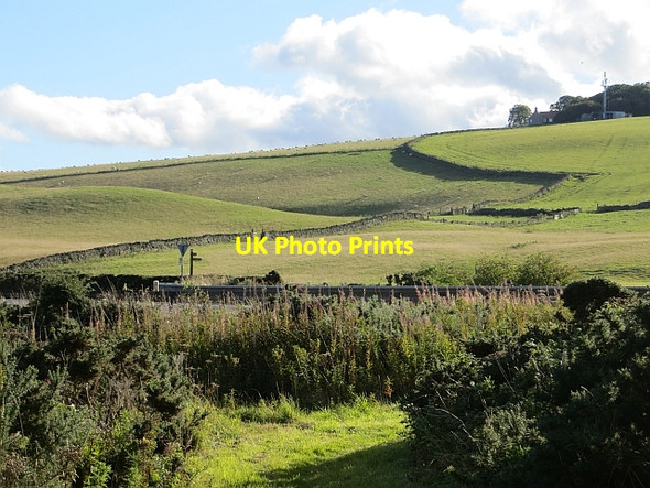 Photo 6"x4" Path, Penmanshiel Grantshouse c2013