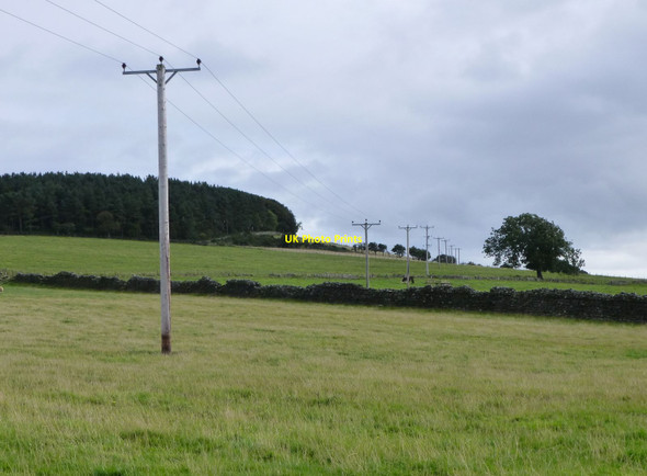 Photo 6"x4" Electricity Poles cross the pasture South Charlton c2013