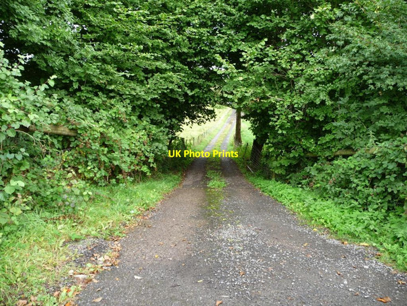 Photo 6"x4" Steep access track, north of the Nant-y-derry road Goetre\/SO3205 c2013