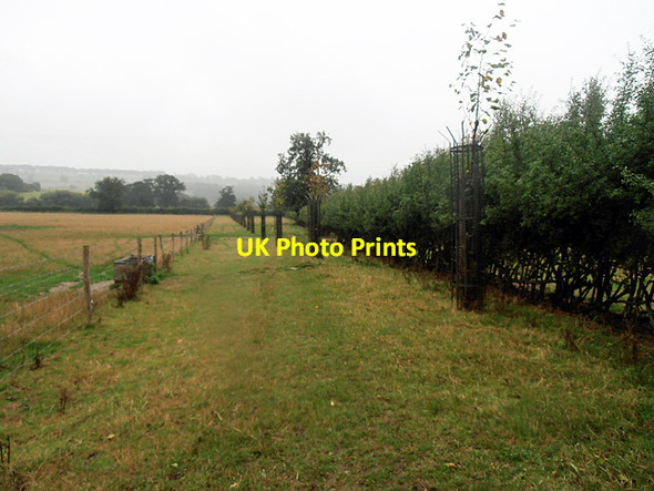 Photo 6"x4" Cotswold Way 022 (it's started raining again) Wood Stanway c2013