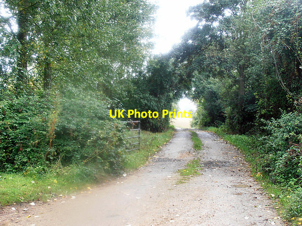 Photo 6"x4" Cotswold Way 023 (Salters Lane) Hailes c2013