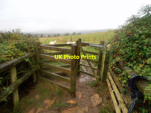 Photo 6"x4" Cotswold Way 024 Hailes c2013