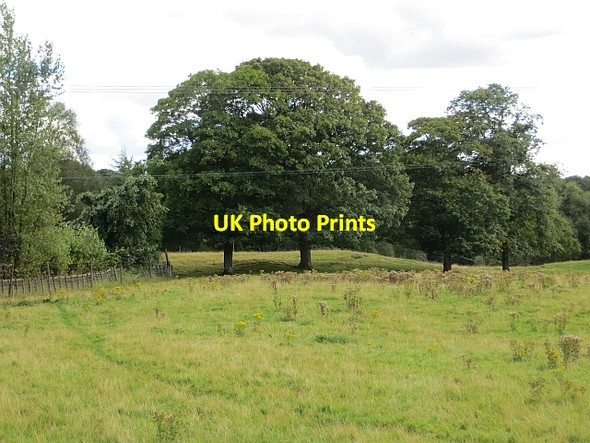 Photo 6"x4" Monarch Deer Park Crook of Devon c2013