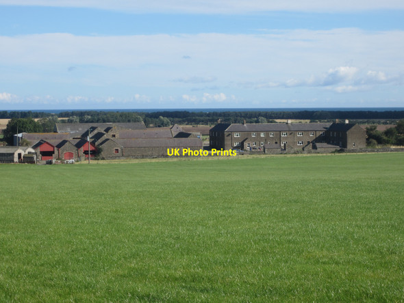 Photo 6"x4" Farm buildings at Easington Demesne Elwick\/NU1136 c2013