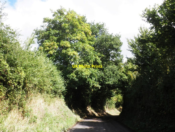 Photo 6"x4" Knapp Lane Charlton\/ST2926 c2013