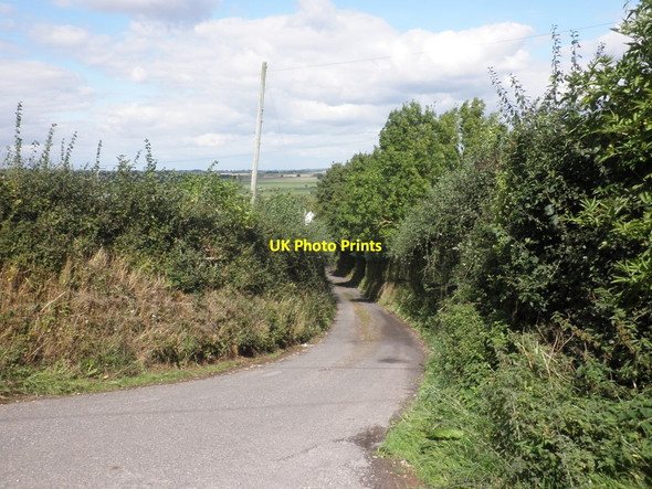 Photo 6"x4" Combe Lane, Knapp Haymoor End c2013