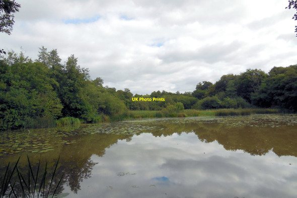 Photo 6"x4" Mill Pond, Bolney Bolney c2013