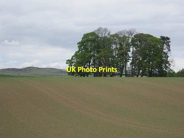 Photo 6"x4" Small wood, Wester Dollerie Milton of Cultoquhey c2013