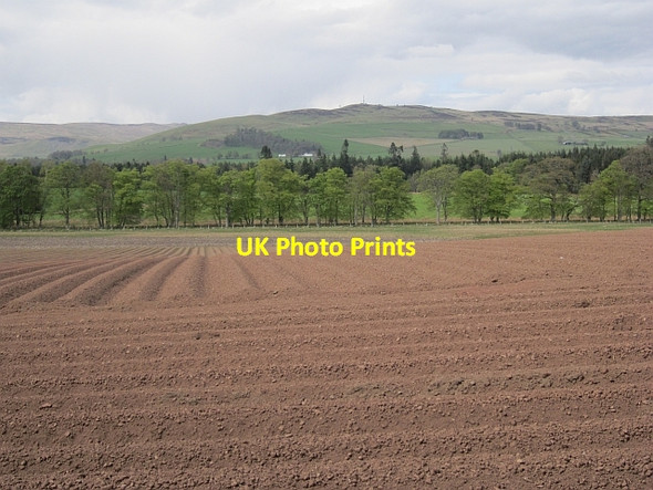 Photo 6"x4" Potato field, Dollerie Milton of Cultoquhey c2013
