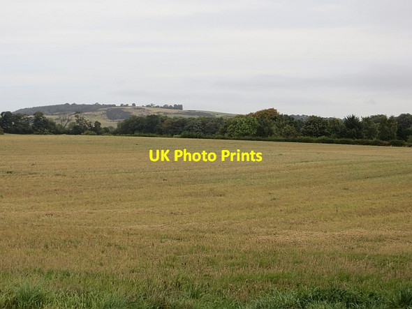 Photo 6"x4" Stubble, Drumley Kinloch\/NO2812 c2013