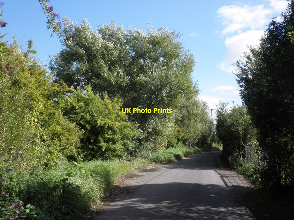 Photo 6"x4" Minor road to Oath Oath c2013