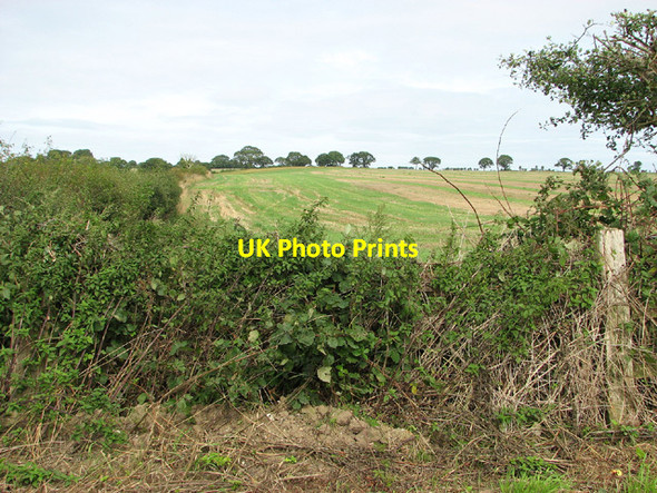 Photo 6"x4" Fields south of Edgefield Street Edgefield Street c2013