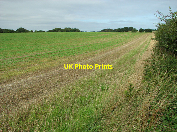Photo 6"x4" Harvested fields south of Edgefield Street Edgefield Street c2013