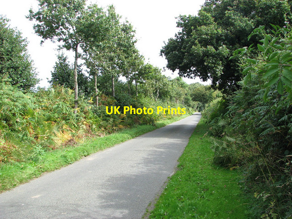 Photo 6"x4" This way to Barningham Green Edgefield Street c2013