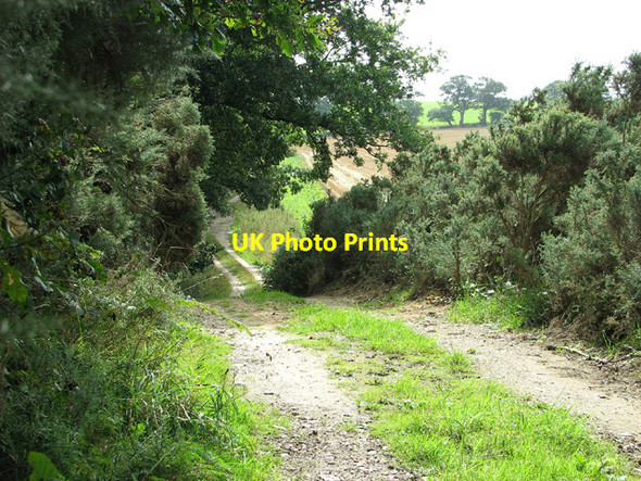 Photo 6"x4" Farm track skirting Barningham Green Plantation Barningham Green c2013