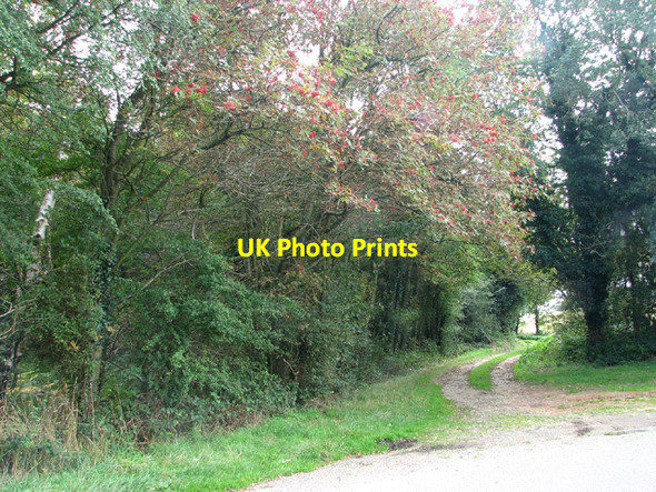 Photo 6"x4" Path to Barningham Green Plumstead Green\/TG1234 c2013