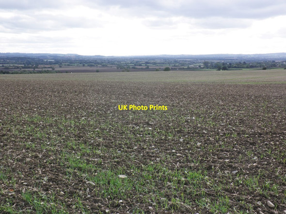 Photo 6"x4" Arable land, Higher Swell Swell c2013
