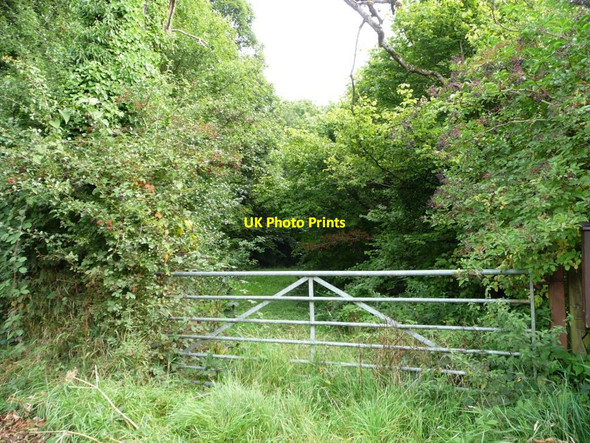 Photo 6"x4" Gated track into Pentre-waun Wood Coed-y-paen c2013