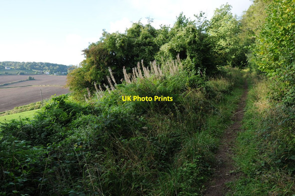 Photo 6"x4" Byway to the south of Staunton Staunton\/SO5512 c2013