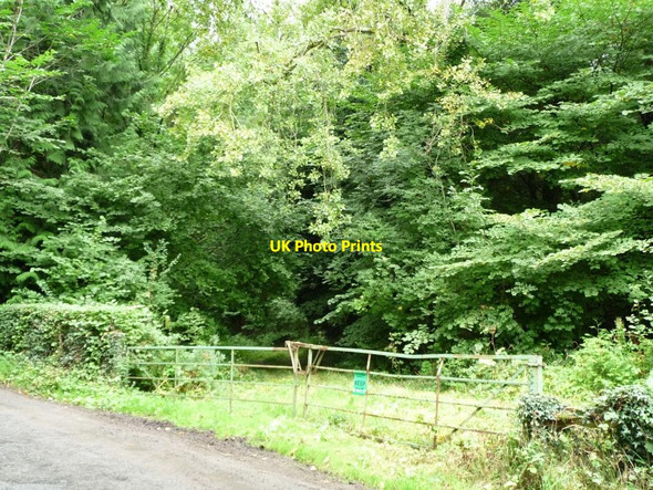 Photo 6"x4" Keep out of this government-owned woodland Usk\/Brynbuga c2013
