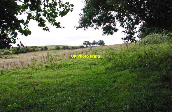 Photo 6"x4" Farmland adjacent to Ribbesford Wood, near Bewdley, Worcs Dunley\/SO7869 c2013