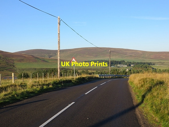 Photo 6"x4" B6355, Hungry Snout Cranshaws c2013