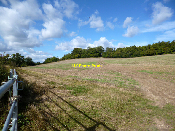 Photo 6"x4" Path into Buckinghamshire Fawley Bottom c2013