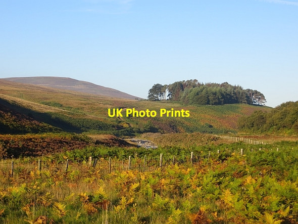 Photo 6"x4" Whiteadder Water Cranshaws c2013
