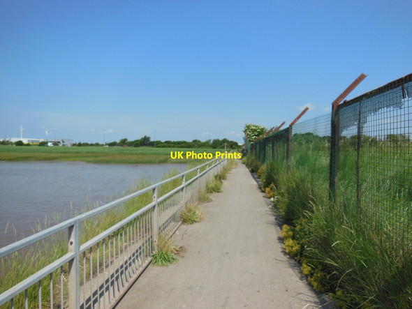 Photo 6"x4" The Trans Pennine Trail towards Hessle Hessle\/TA0326 c2013