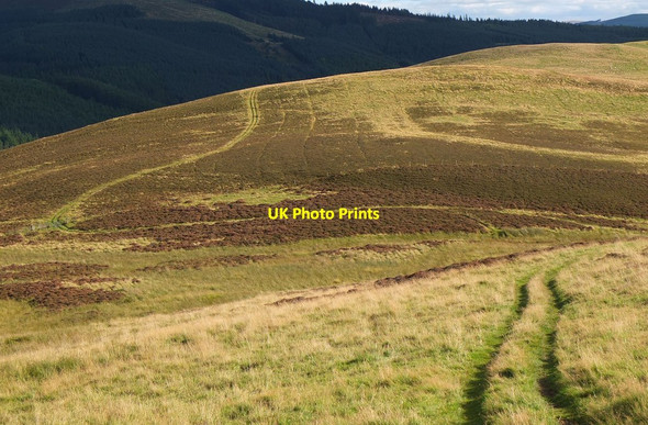 Photo 6"x4" Track on Collie Law Redscarhead c2013