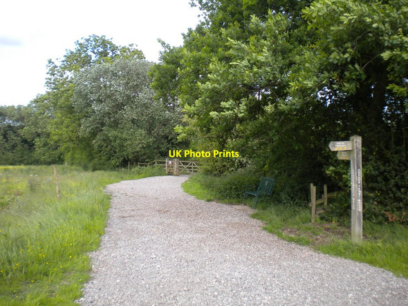 Photo 6"x4" Path to Tittesworth Reservoir dam Leek\/SJ9856 c2013