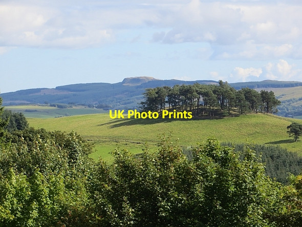 Photo 6"x4" Law Hill Dollar c2013