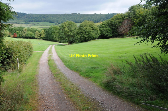 Photo 6"x4" Track to Cannes Farm Monmouth\/Trefynwy c2013