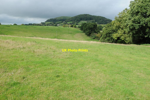 Photo 6"x4" Farmland near Dixton Monmouth\/Trefynwy c2013