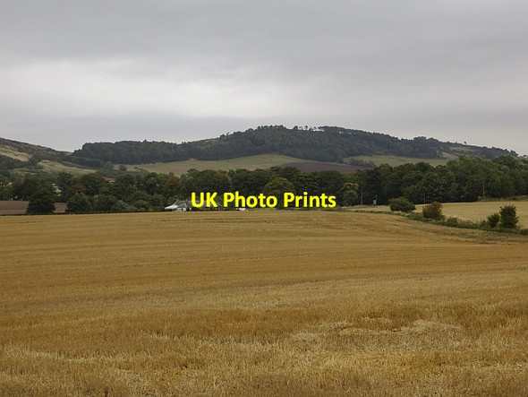 Photo 6"x4" Stubble, Balmeadie Glenduckie c2013