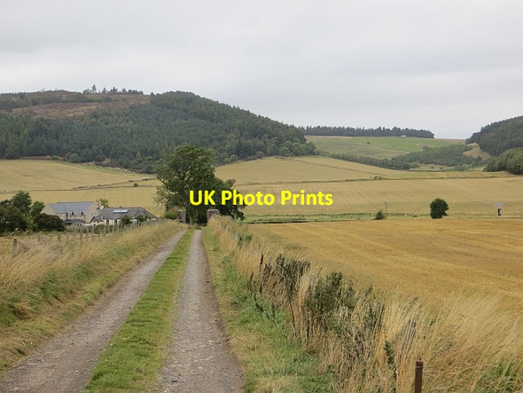 Photo 6"x4" Road to Johnstone Glenduckie c2013