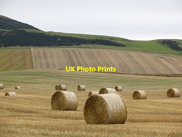 Photo 6"x4" Round bales by Collairnie Parbroath c2013