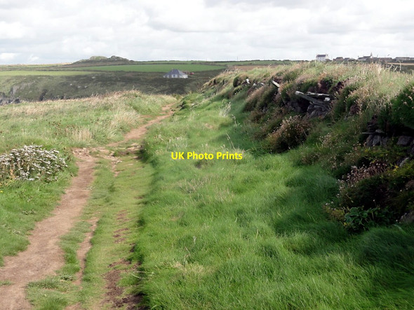 Photo 6"x4" Coastal Path and Field Wall Rhosson c2012