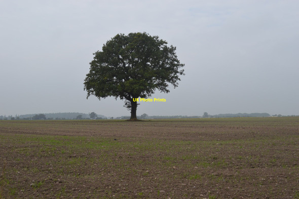 Photo 6"x4" Arable land near Littleton Colliery Dogingtree Estate c2013
