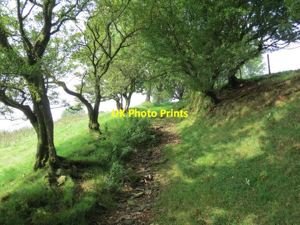 Photo 6"x4" Llwybr Tir Paun  \/ Tir Paun footpath Talsarn\/SN7726 c2013