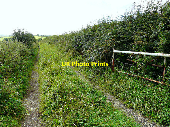 Photo 6"x4" Farm track near Wrayside Low Cotehill c2013