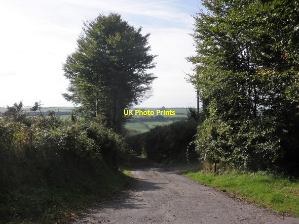 Photo 6"x4" Ashott Lane Edgcott\/SS8438 c2013