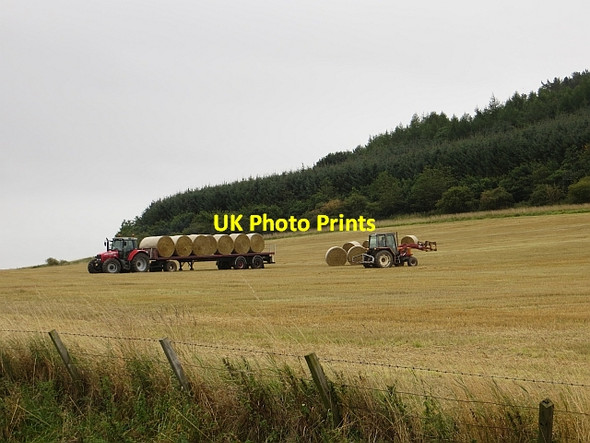Photo 6"x4" Bale lugging Moonzie c2013
