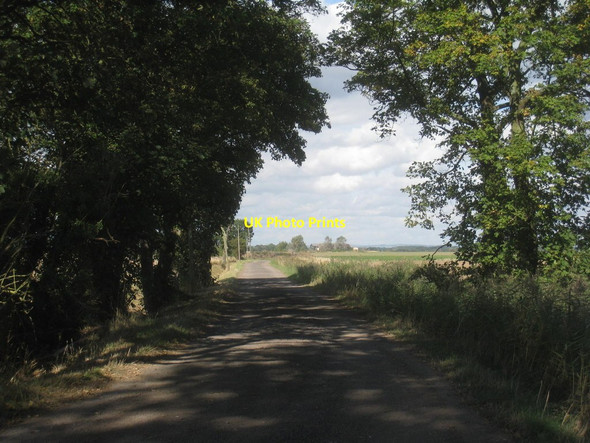 Photo 6"x4" Celery Bank Yokefleet c2013