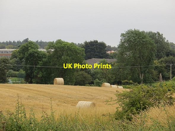 Photo 6"x4" Round bales on the edge of Cupar Cupar c2013
