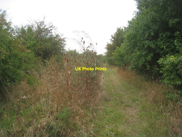 Photo 6"x4" Fen Lane Barnby in the Willows c2013