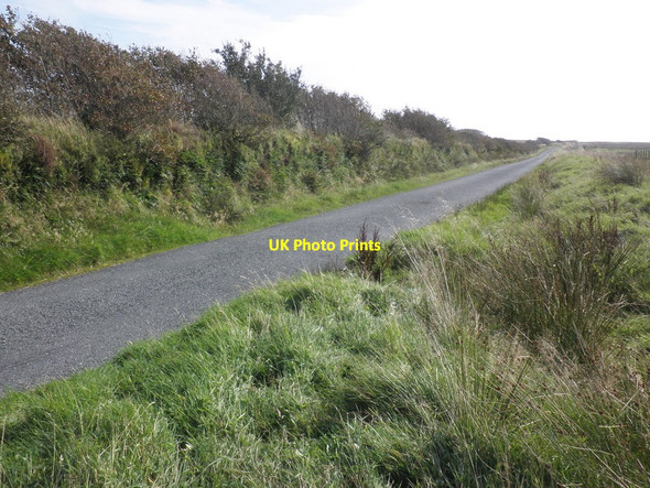 Photo 6"x4" Minor road above Little Melcombe Challacombe\/SS6940 c2013
