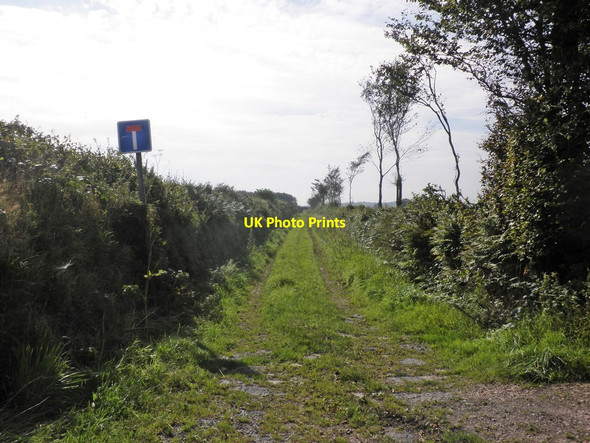 Photo 6"x4" Green Lane on Fullaford Down Lydcott\/SS6936 c2013